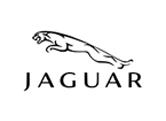 Jaguar Logo